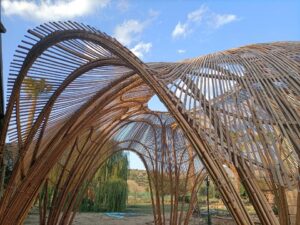 CanyaViva - CanyaLab - bambu